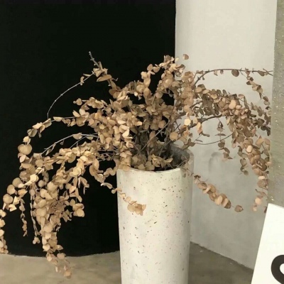 Furry绘画色彩灵感FurryQQ群